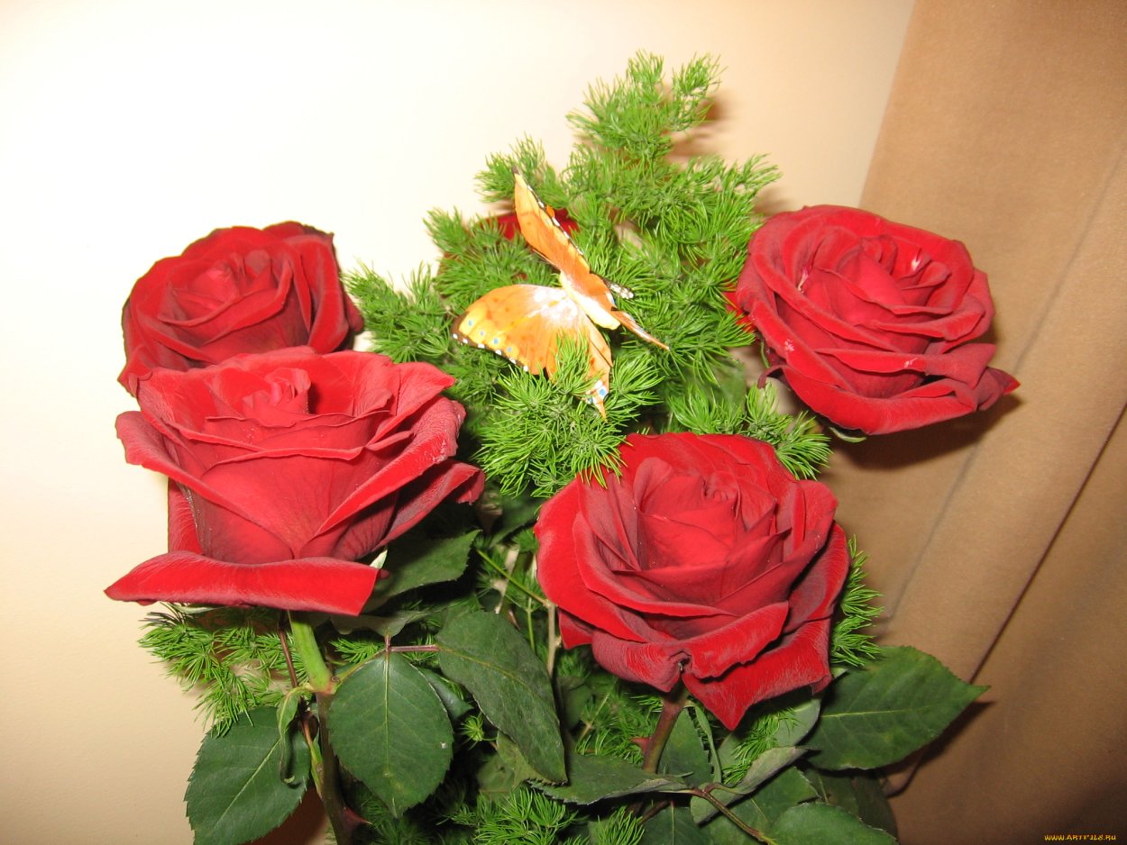 Букет роз в квартире