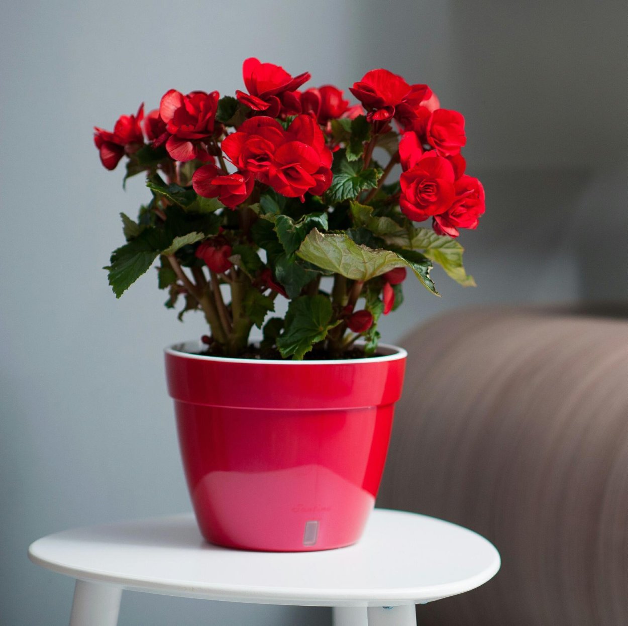 Горшок для цветов Асти с автополивом