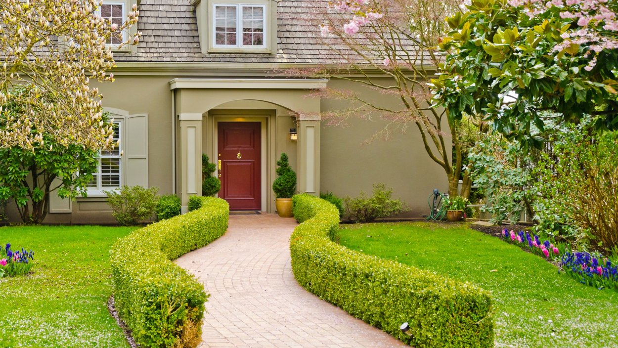 Красивый сад с газоном