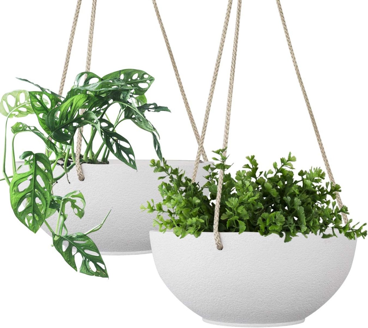 BOTANIQ Hanging Plant Pot