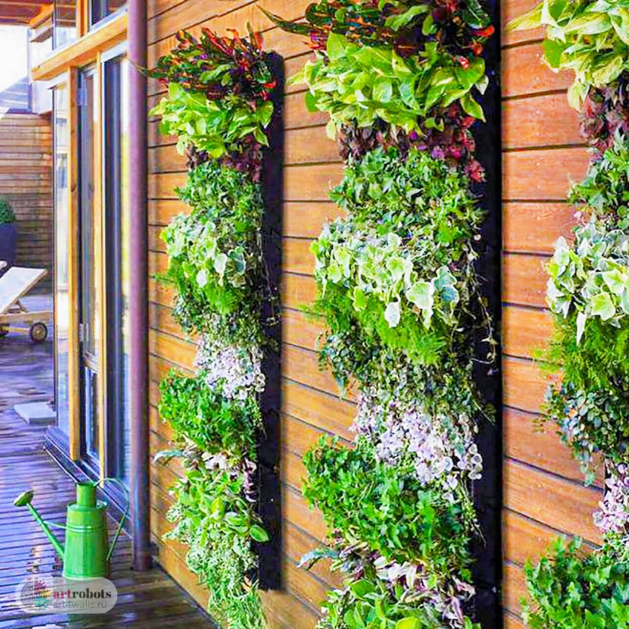 Плющ обыкновенный фитостена