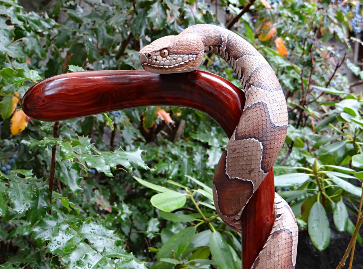 Трость со змеей Майк Стиннет