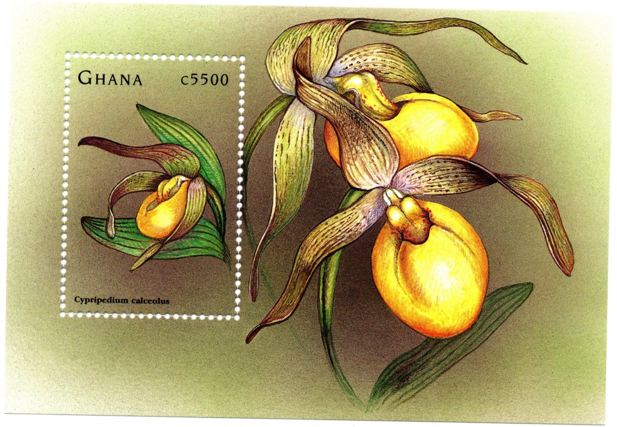 Orchidaceae in stamps