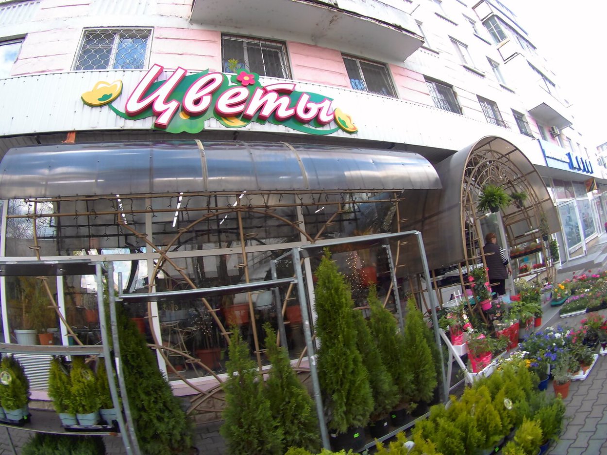 Бендеры цветочный магазин ул. Ленина