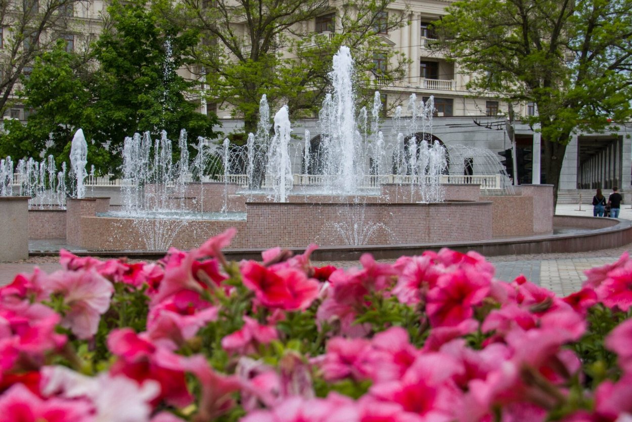 Цветы Тирасполя