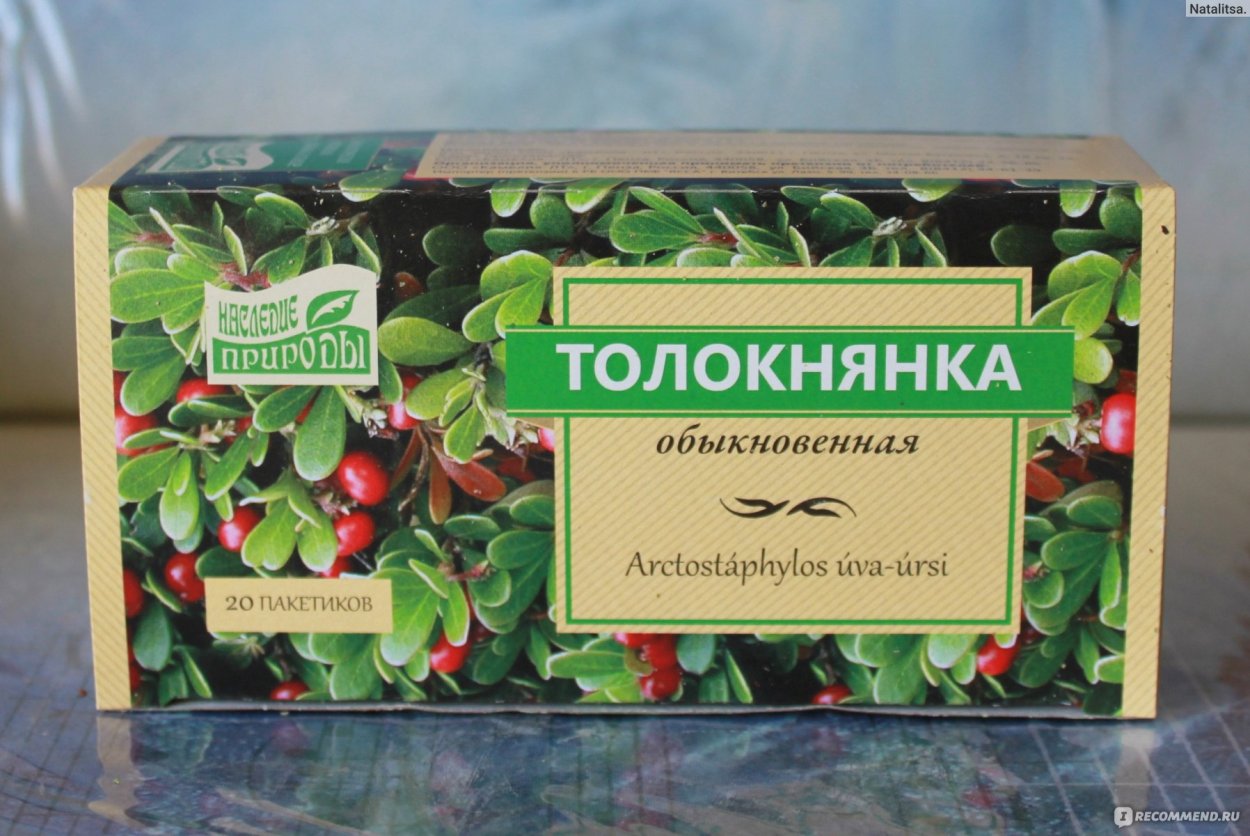 Листья толокнянки ЛП