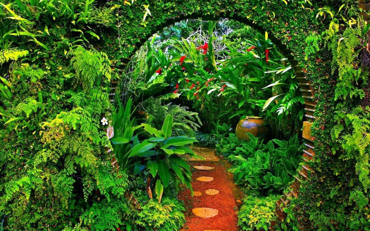 Гарден сад Garden Sad