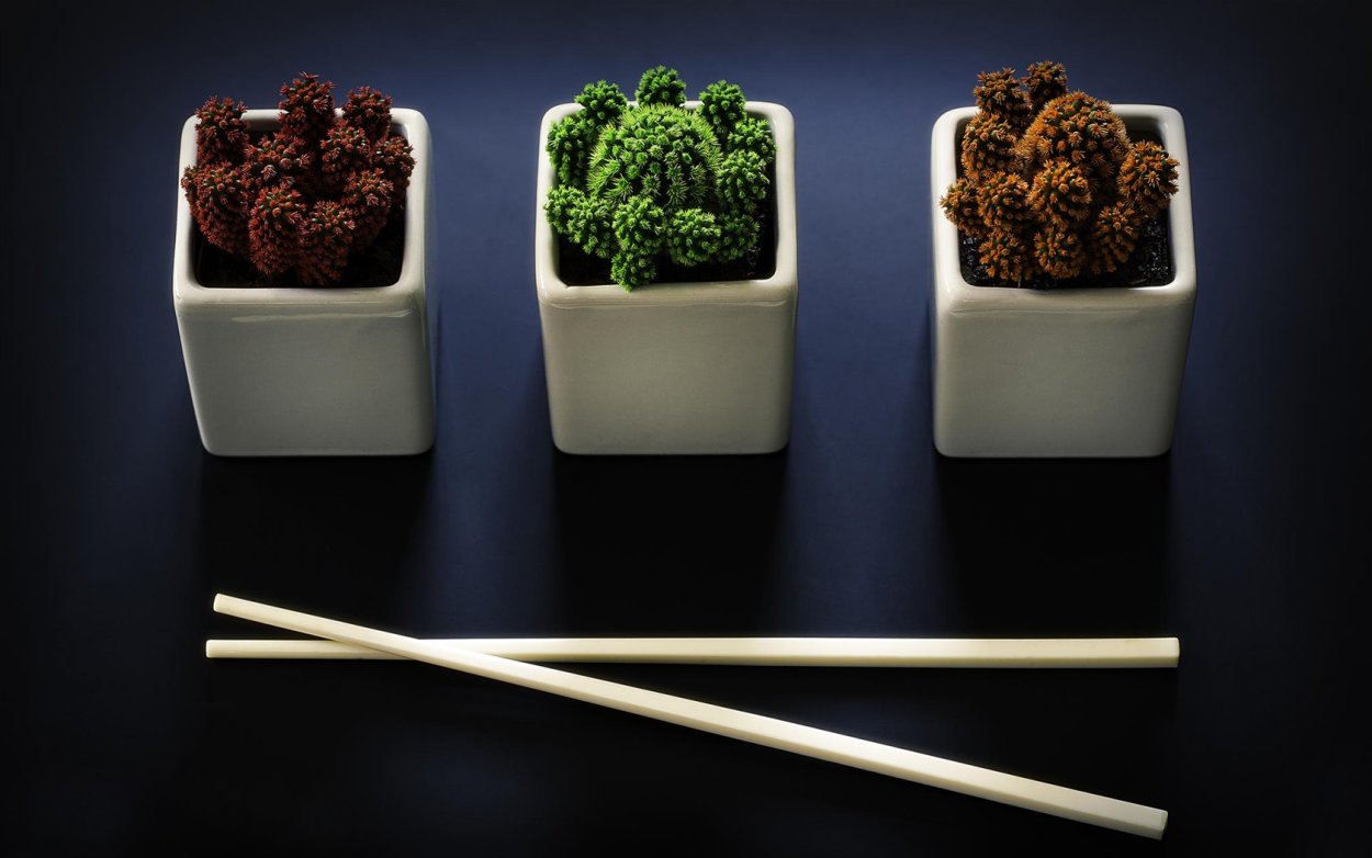 Палочки для еды