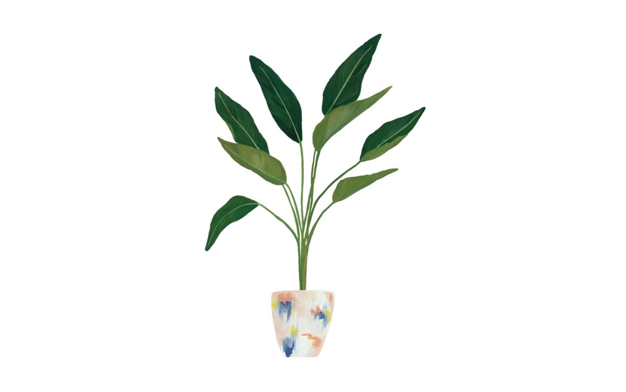 Постеры на белом фоне растения