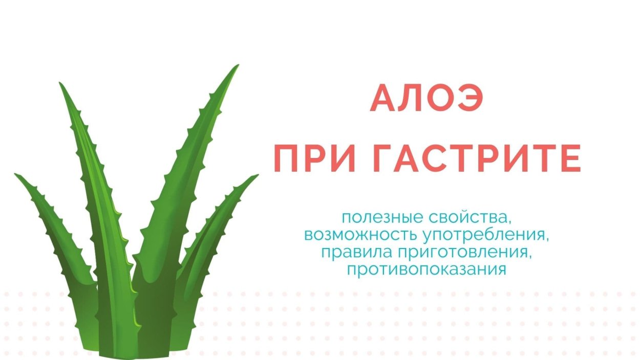 Алоэ противопоказания