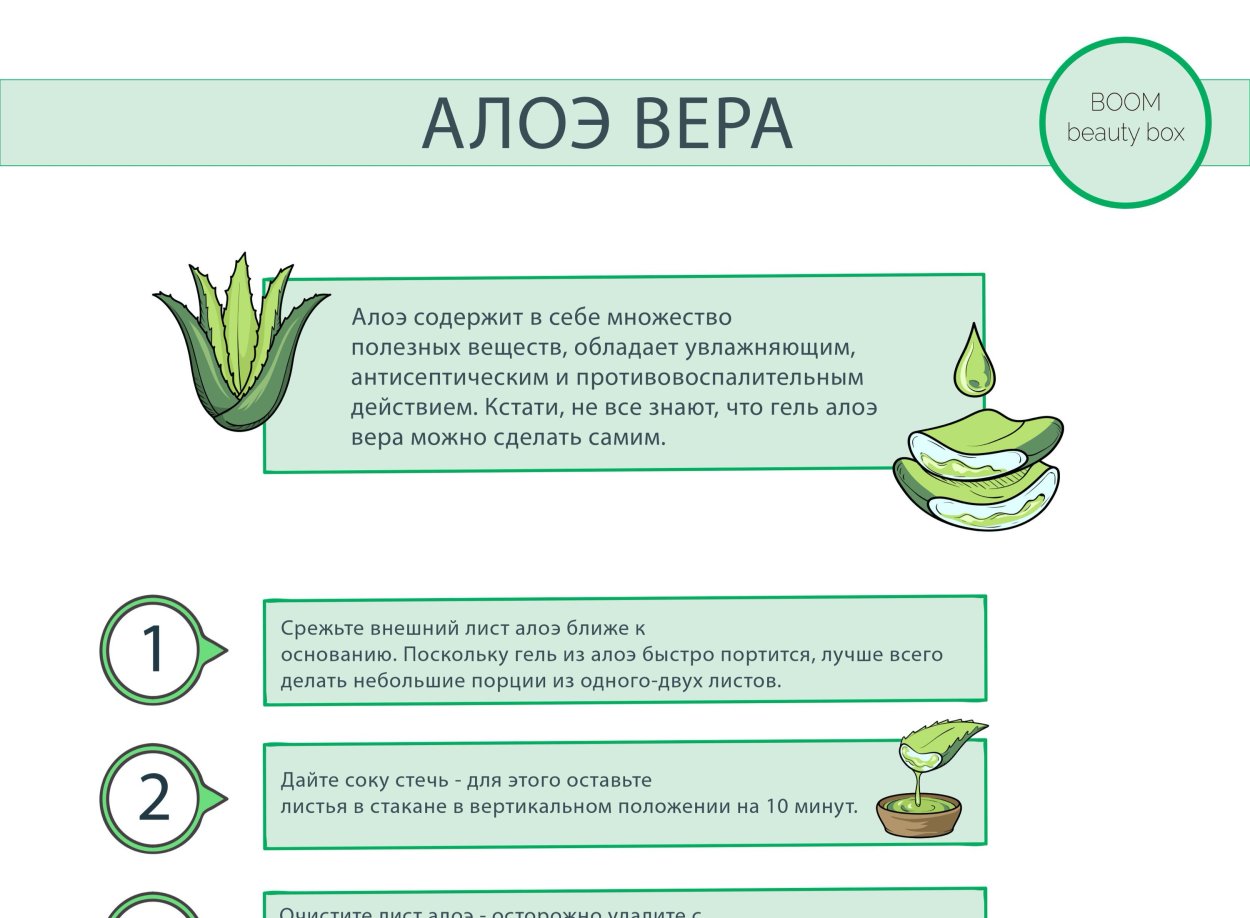 Алоэ характеристика листа
