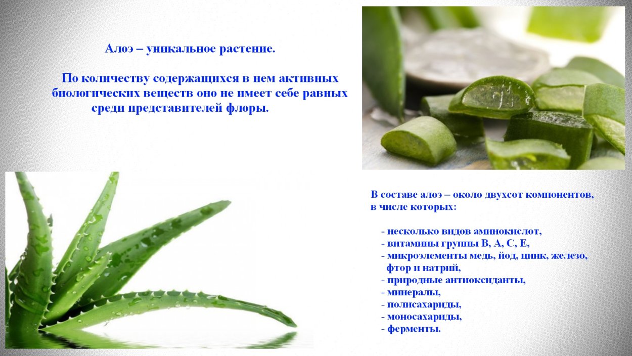 Алоэ витамины