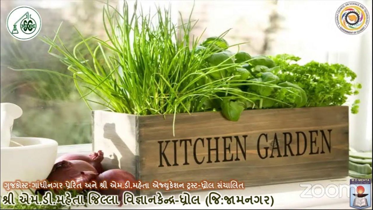 No Organic Plant