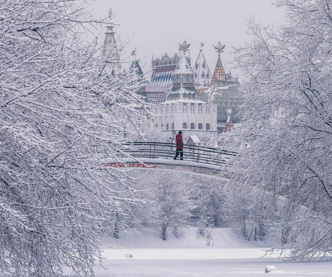 Измайловский парк зимой