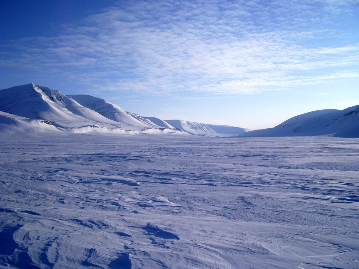 Полярная пустыня