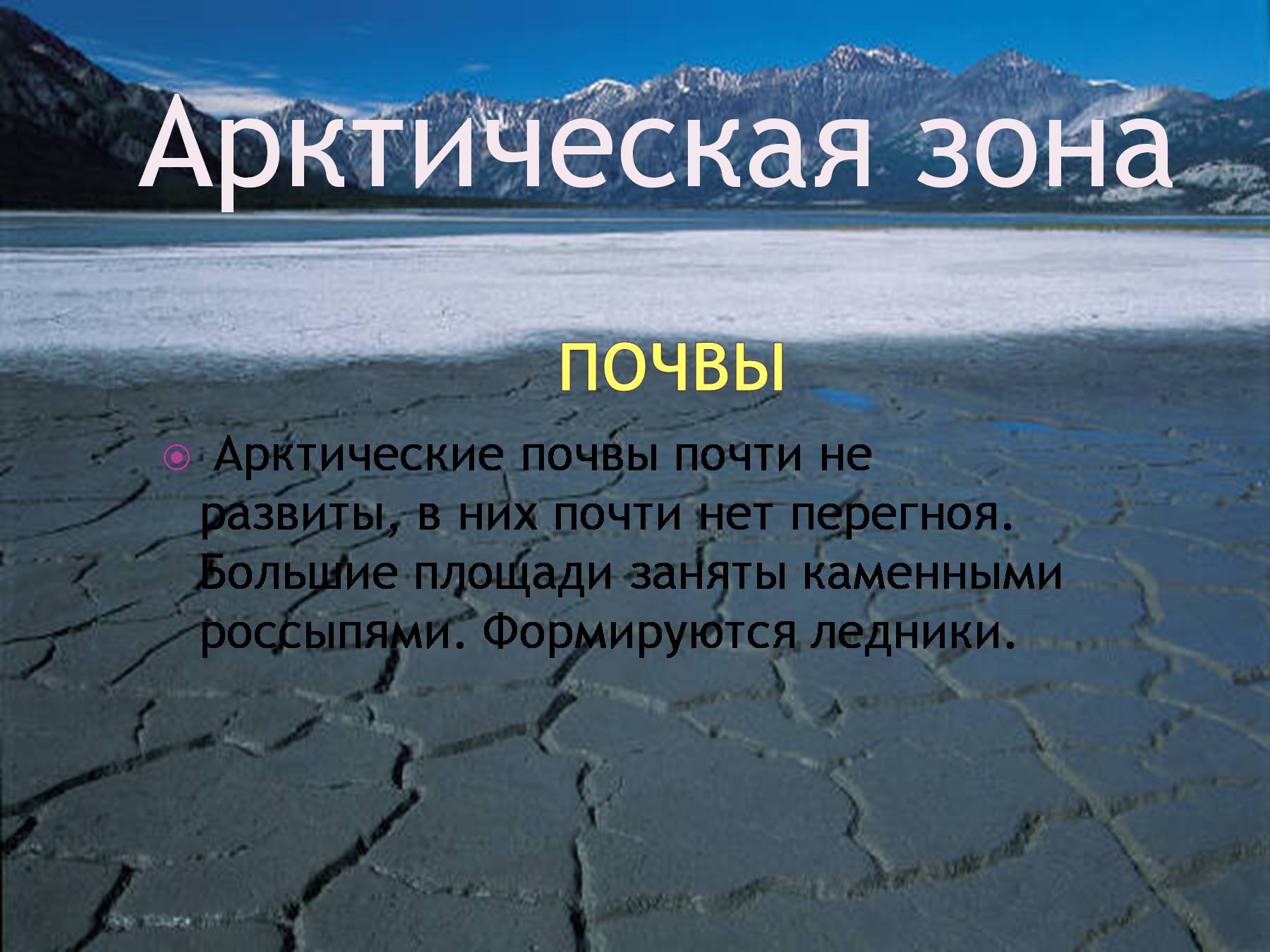 Характеристика почв арктических пустынь. Арктические почвы. Арктические пустыни почвы. Почвы арктической зоны. Почвы арктической зоны России.