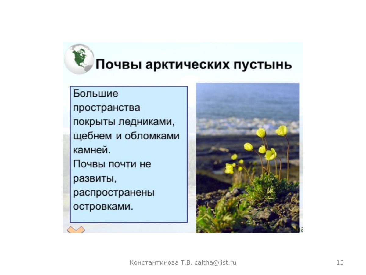 Увлажнение арктических почв. Тип почв арктических пустынь. Тип почвы арктической пустыни России. Тип почв арктических пустынь в России. Арктическая пустыня почва.