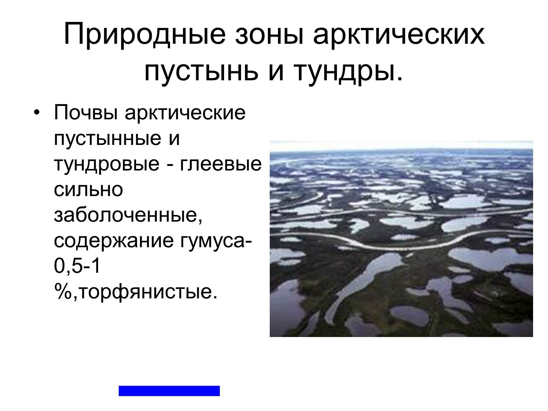 Почвы арктических пустынь евразии. Почва арктических пустынь 8 класс. Природные ресурсы зоны арктической пустыни. Природная зона арктических пустынь. Арктические и тундровые глеевые почвы.