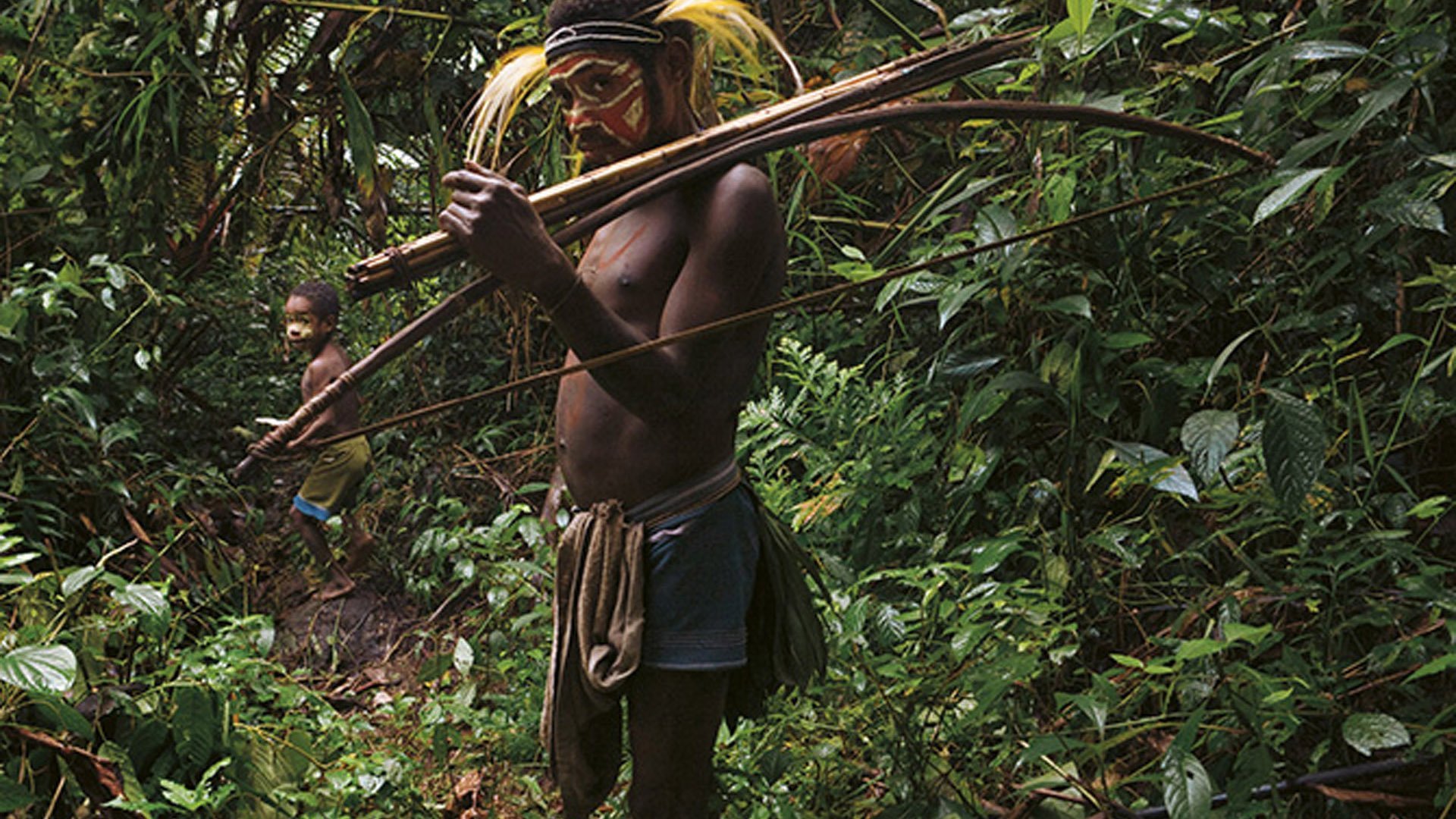 Спас в джунглях. Джунгли Африки. Племена Амазонии.