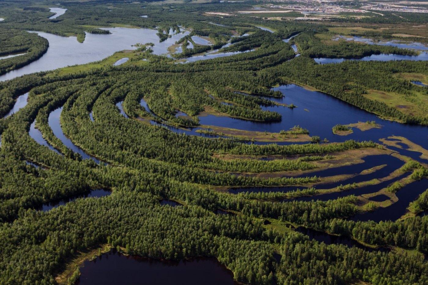 Реки и озера интересно. Тайга Васюганские болота. Западно Сибирская равнина Васюганское болото. Васюганские болота, Сибирь. Васюганское болото с высоты птичьего полёта.