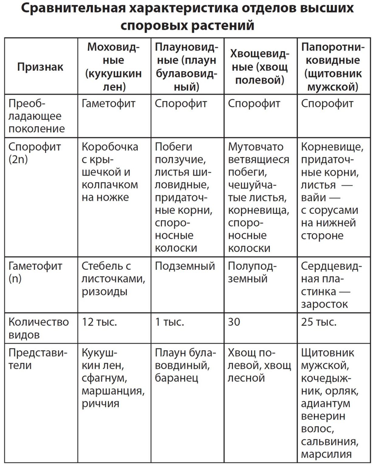 Жизненные циклы хвощей плаунов и папоротников