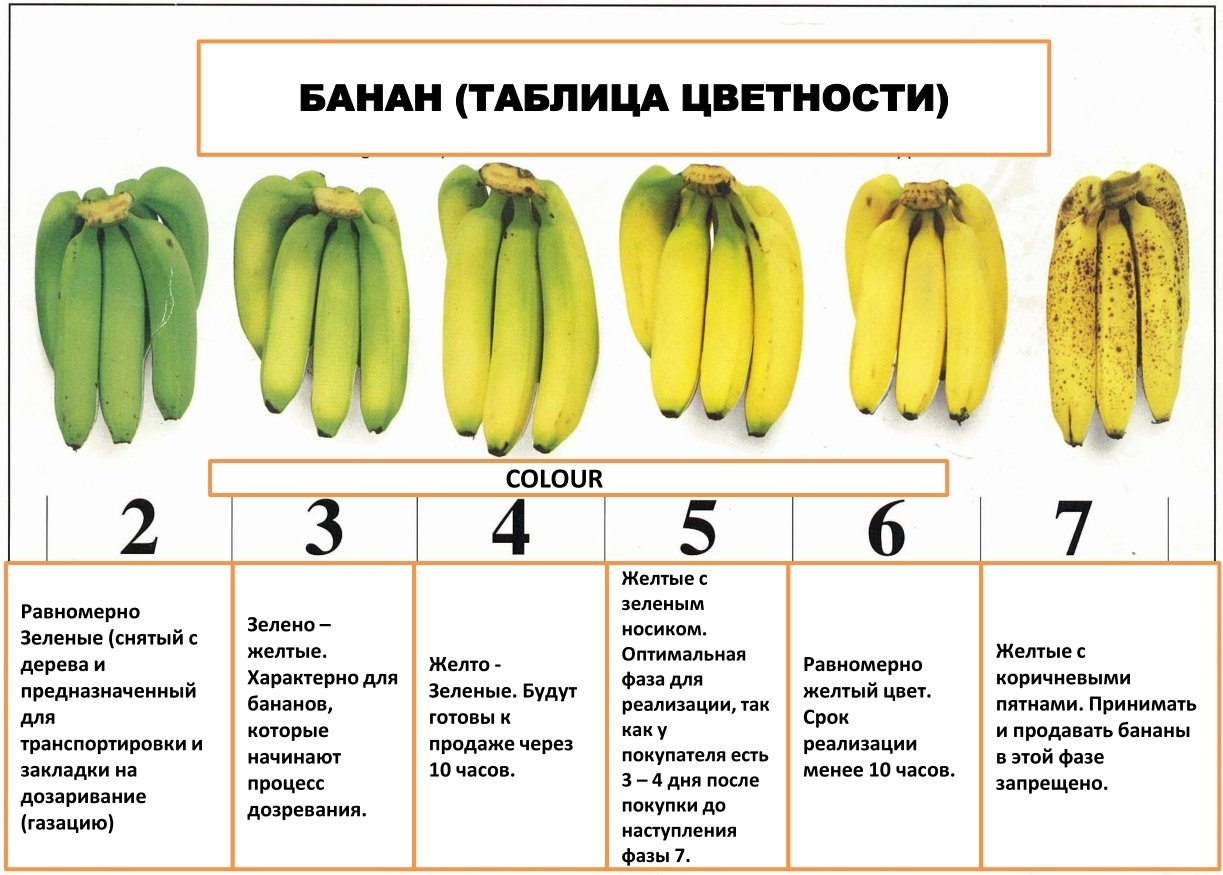 Приложение:Заимствованные слова в русском языке — Викисловарь