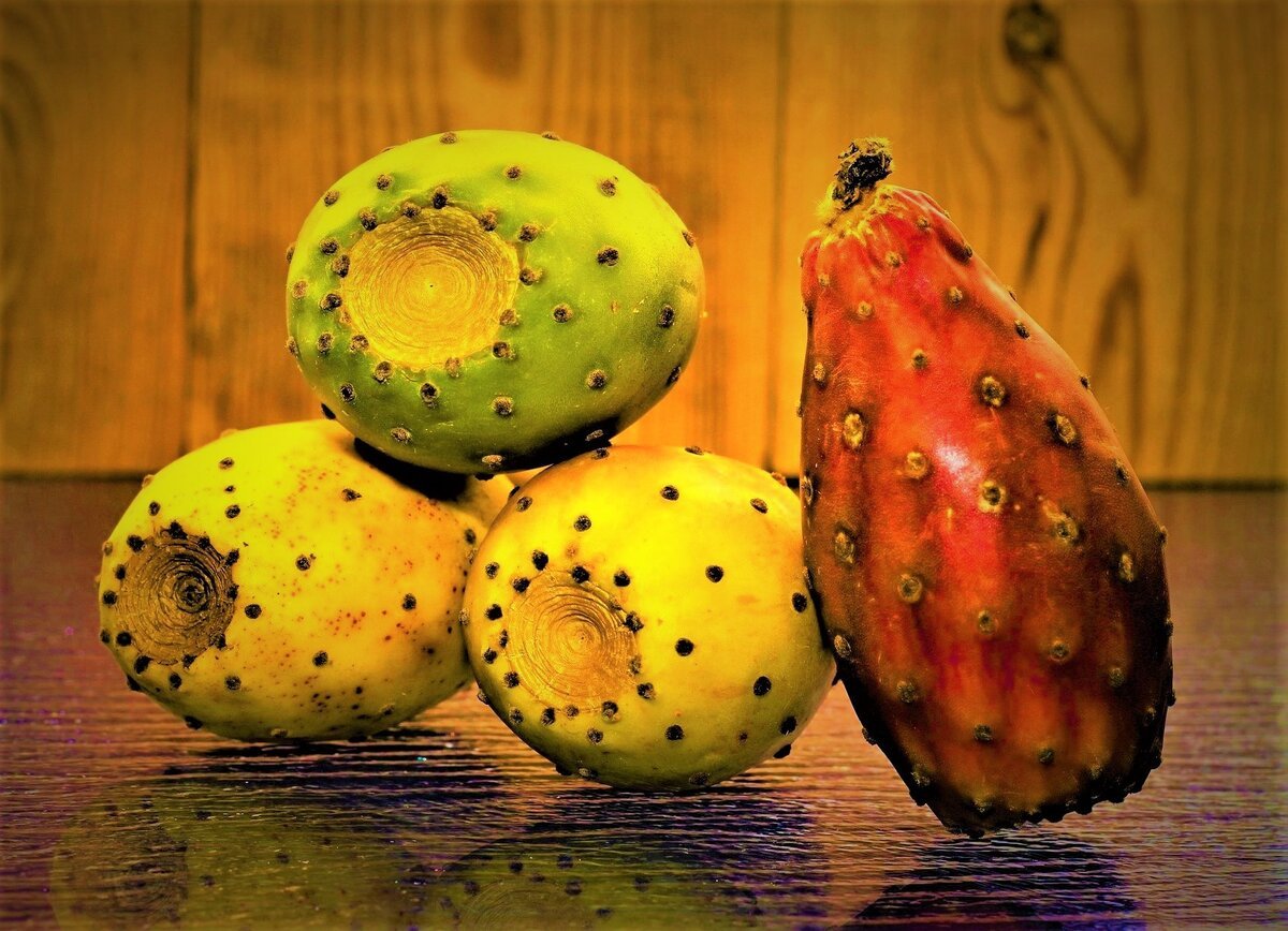 Съедобные плоды кактуса