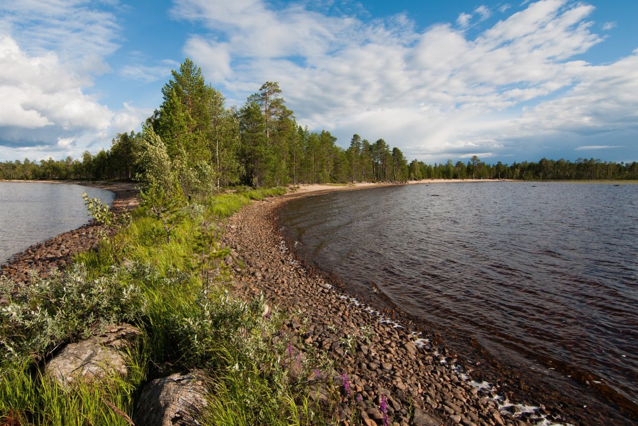 Пряжинское озеро Карелия