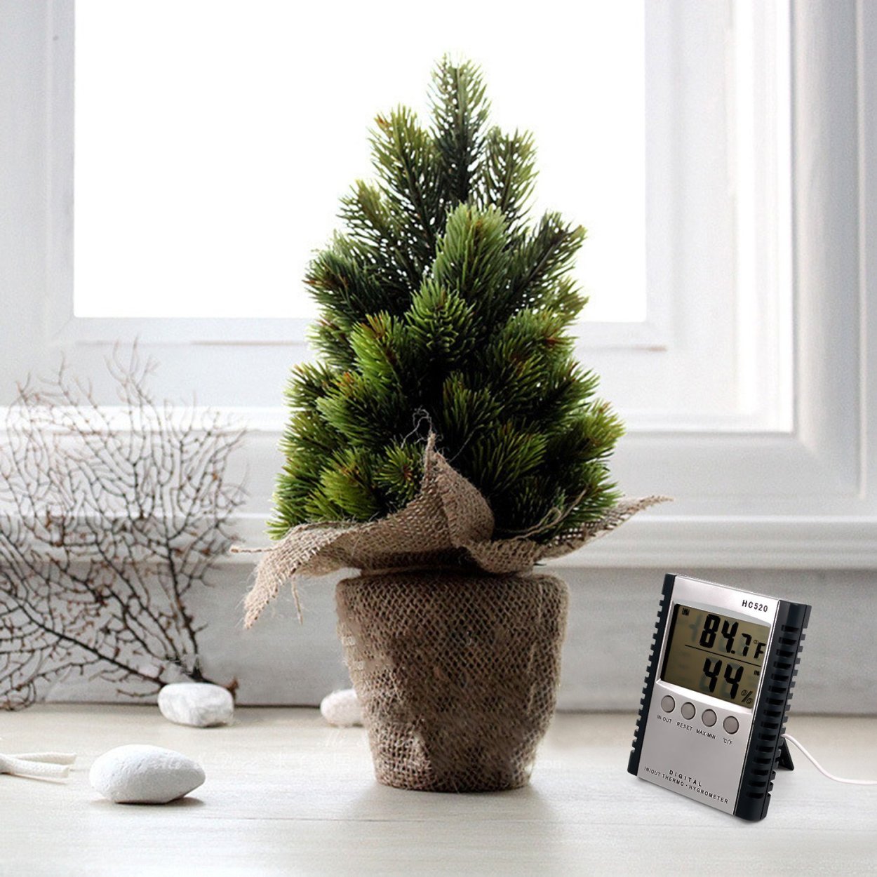 Елочка в горшке