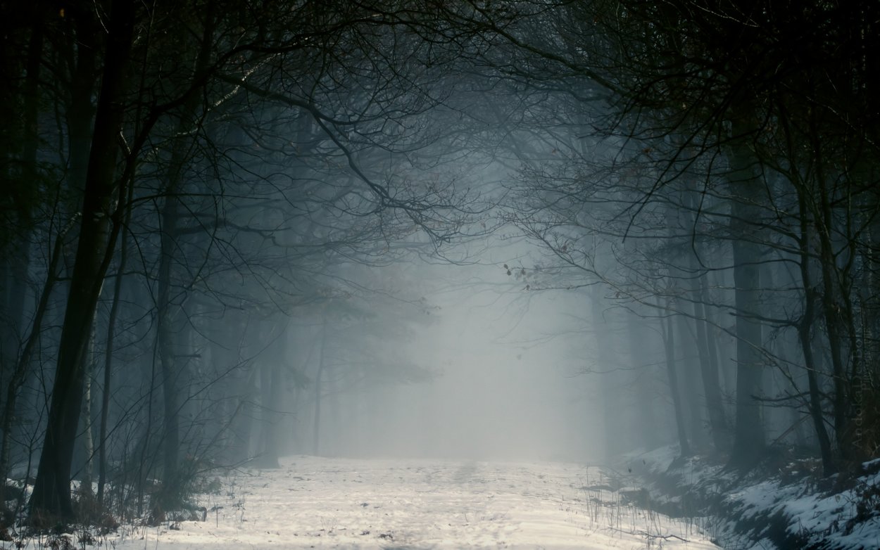 Страшный зимний лес