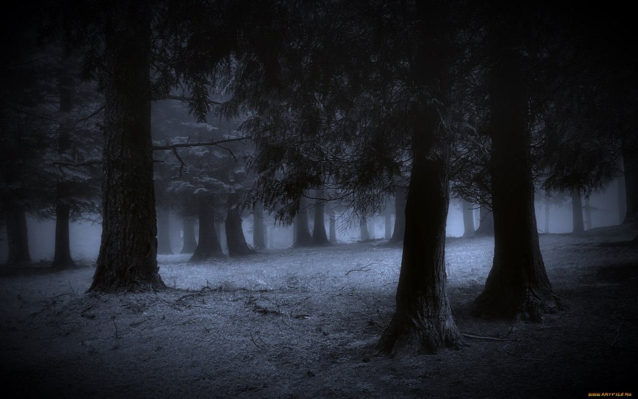 Страшный лес ночью