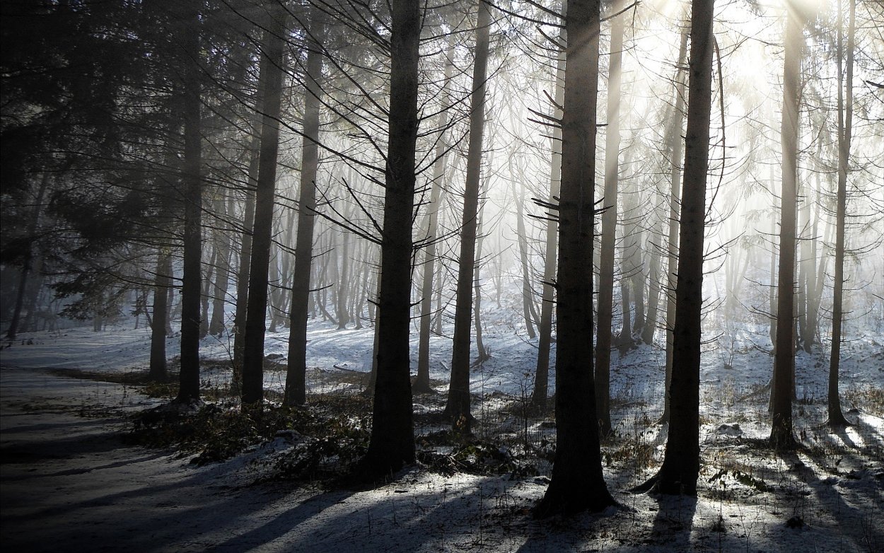 Мрачный пейзаж