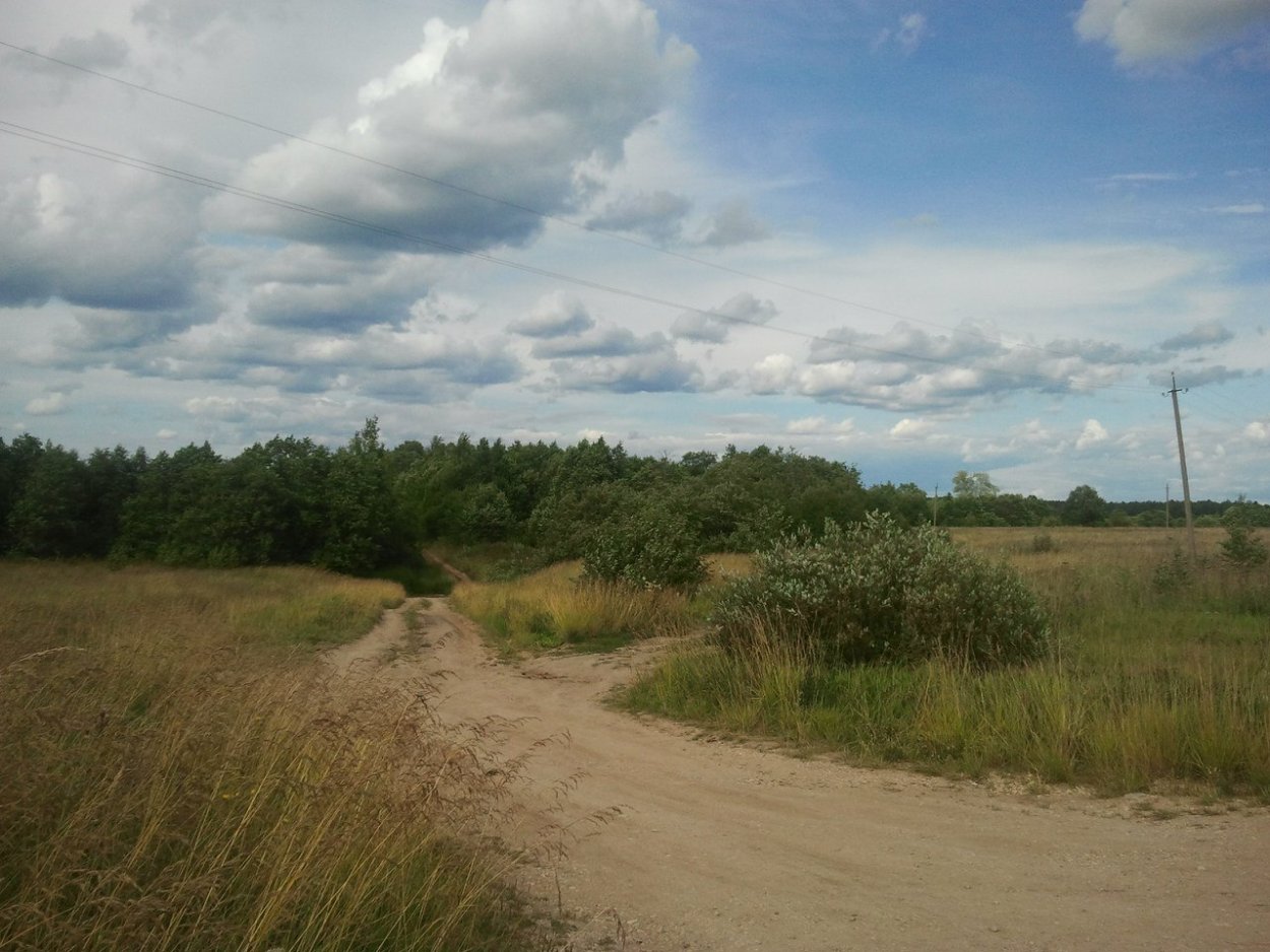 Деревня большая Кунесть Тосненский район