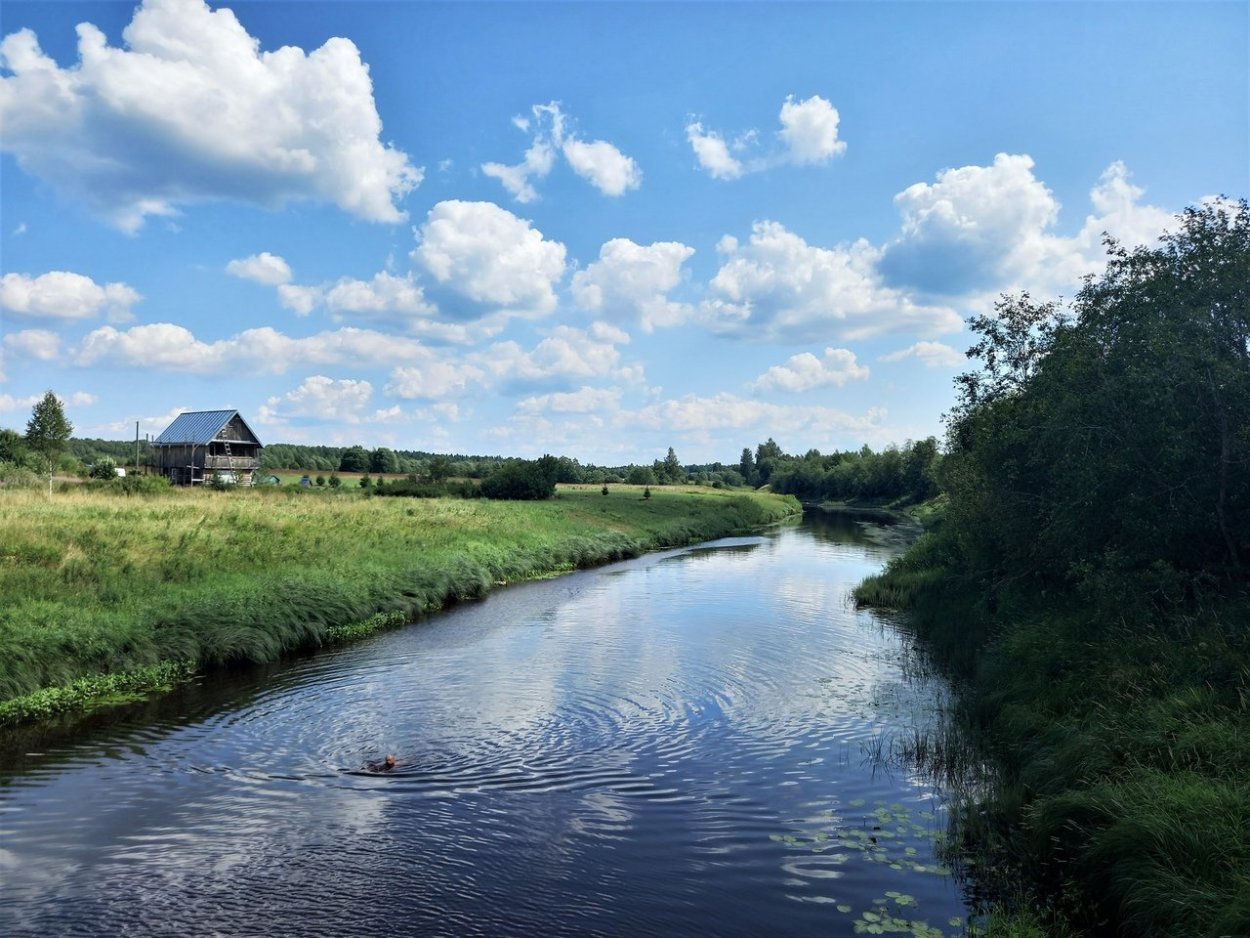 Река Тигода Ленинградская область