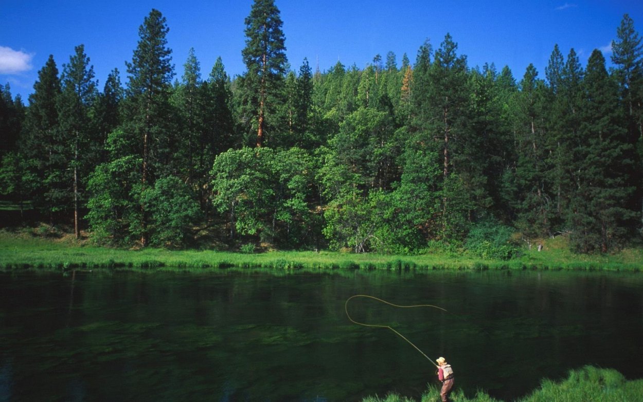 Озеро лес рыбалка