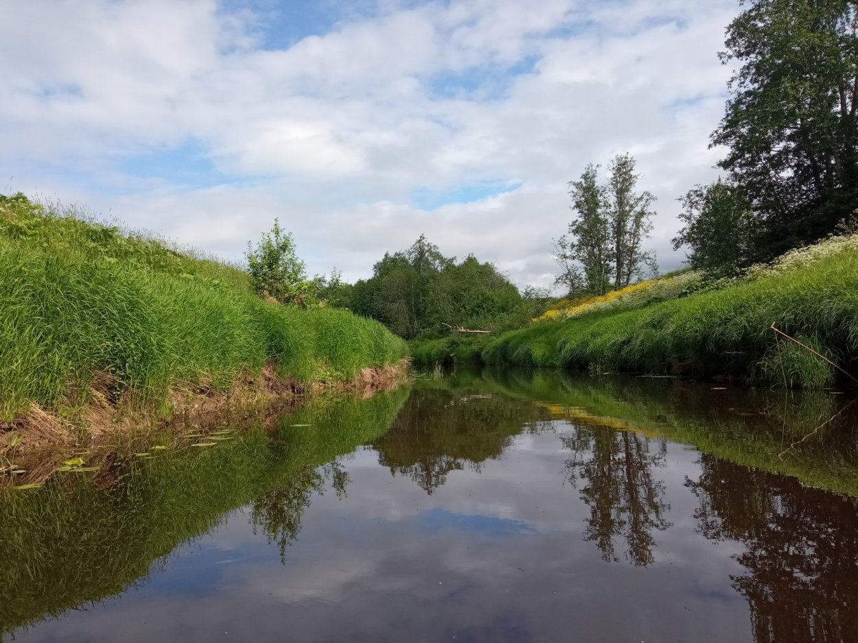 Речка в деревне
