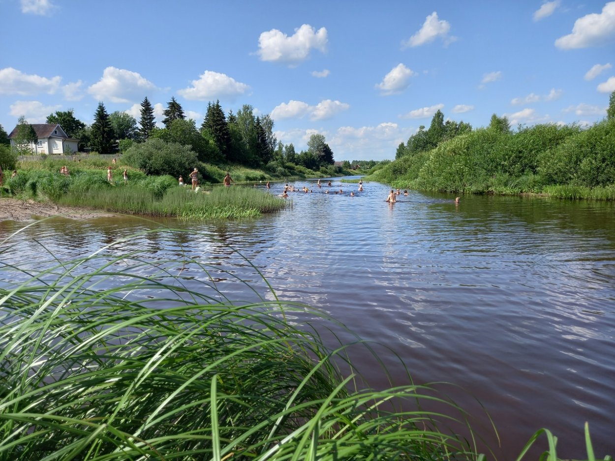 Река Тигода