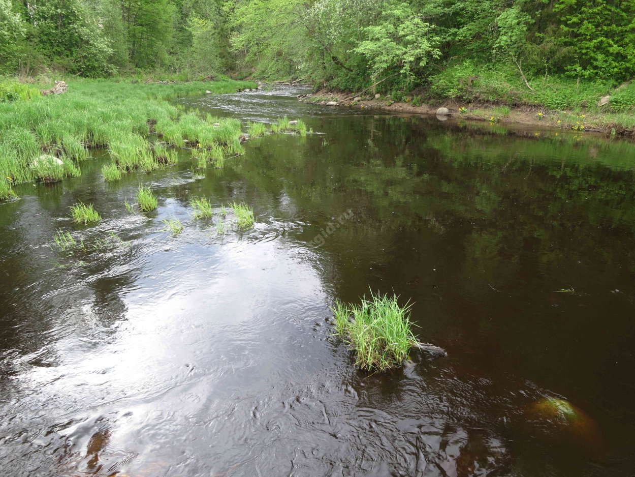 Река Тигода