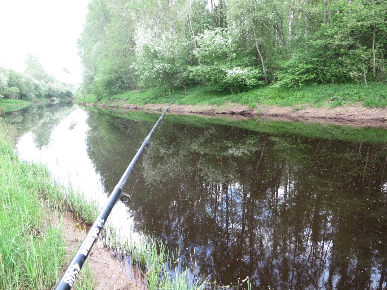 Река Тигода