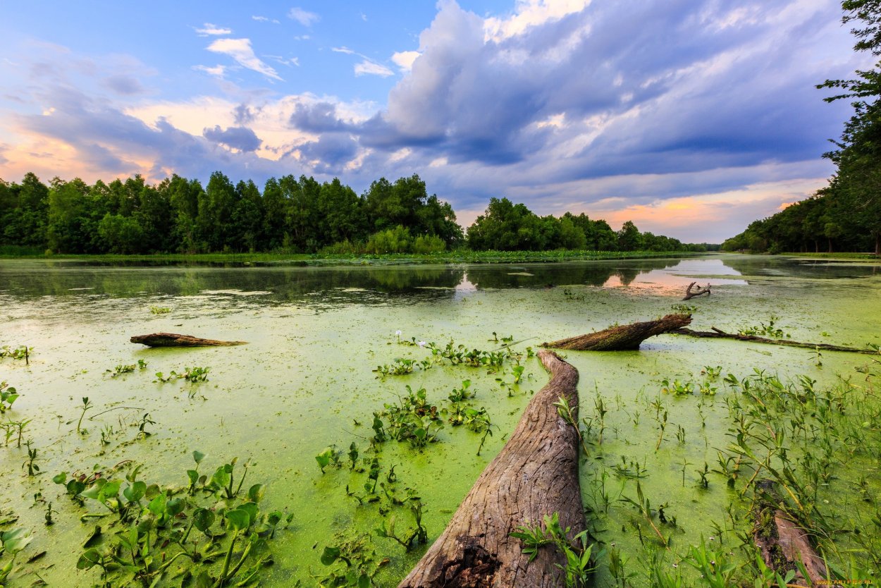 Озеро круглое Нижегородская область Борский район