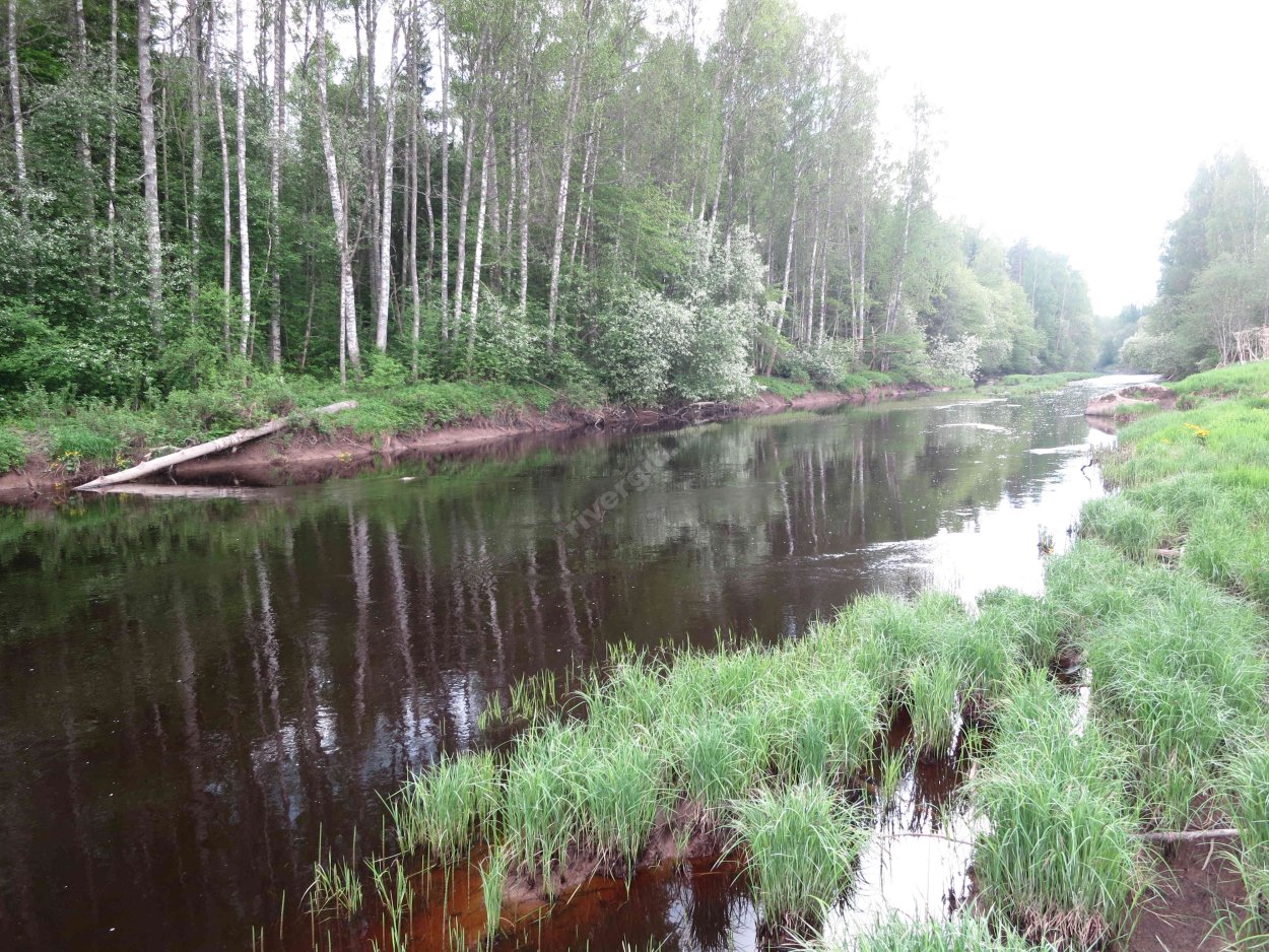 Река Тигода Трубников Бор