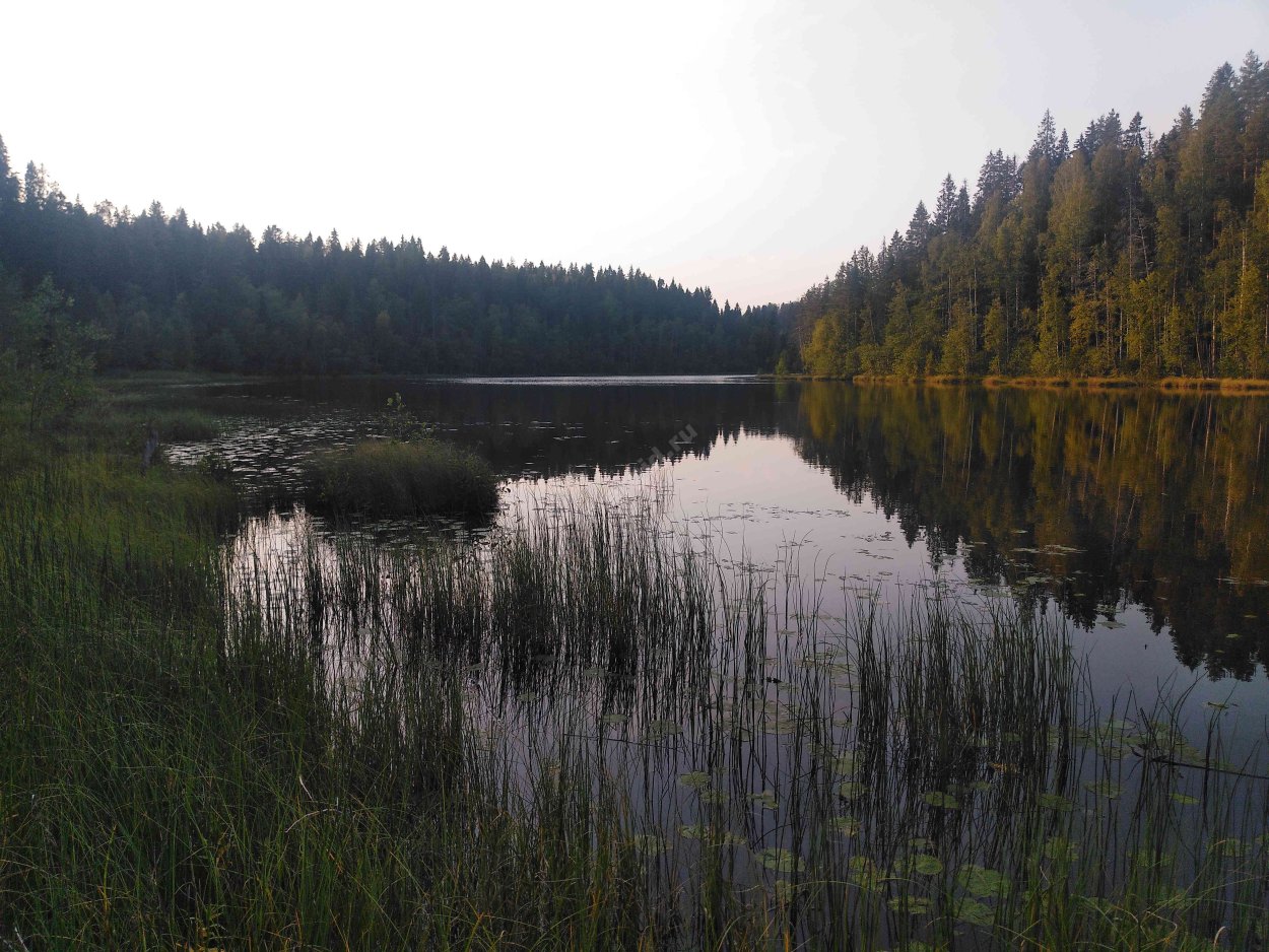 Озеро Волкота Андреапольский район