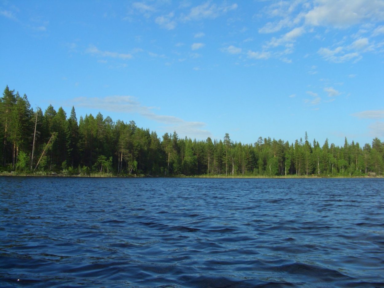 Озеро Вонгозеро