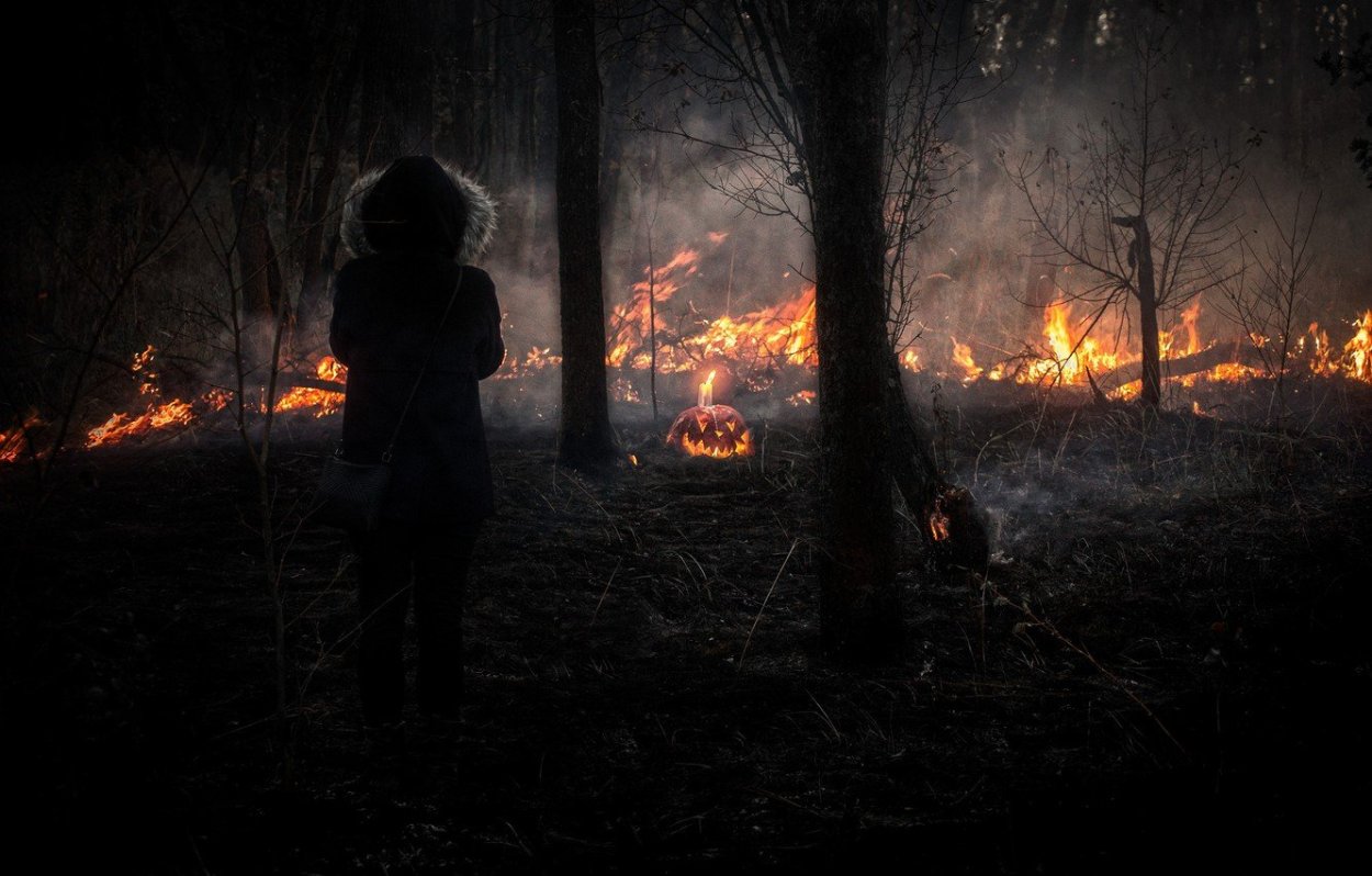 Огонь в лесу ночью