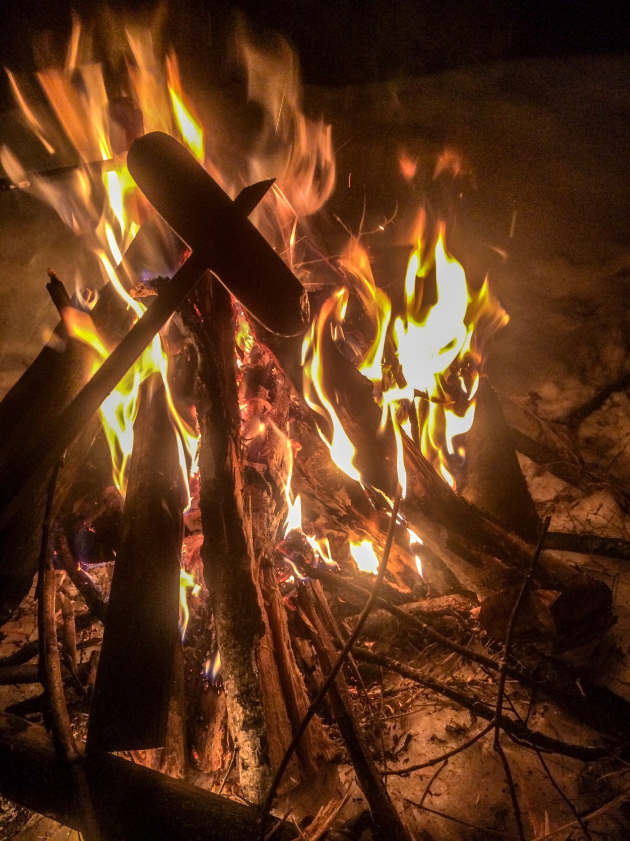 Костер в лесу