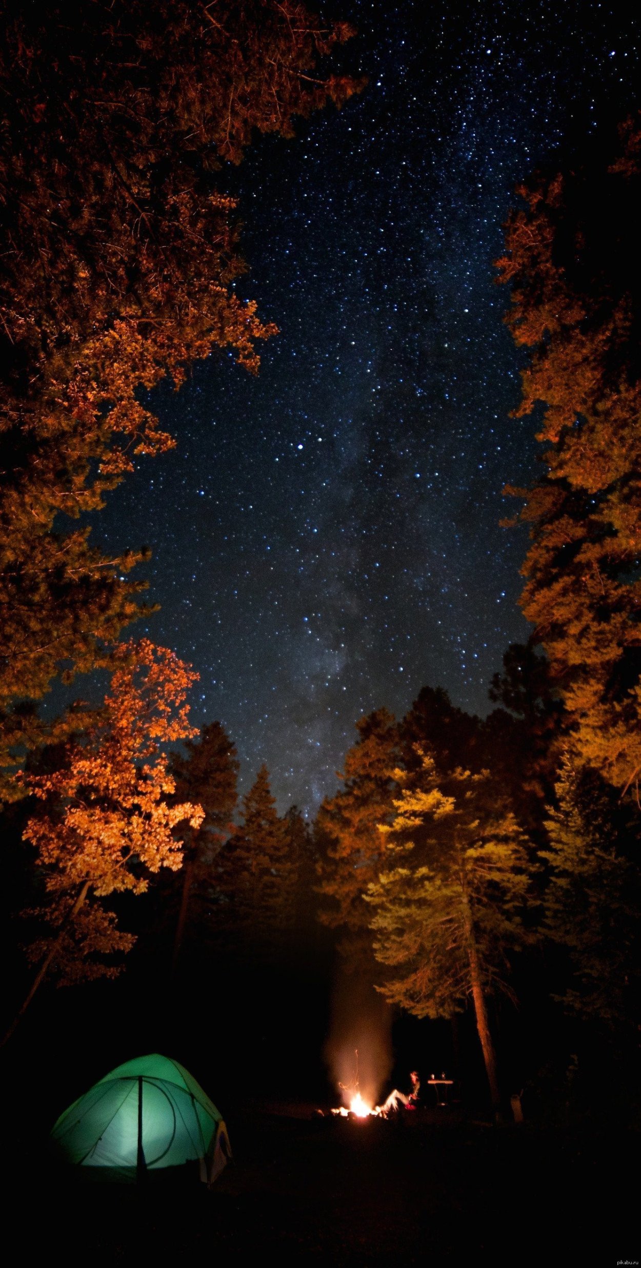 Костёр в лесу ночью