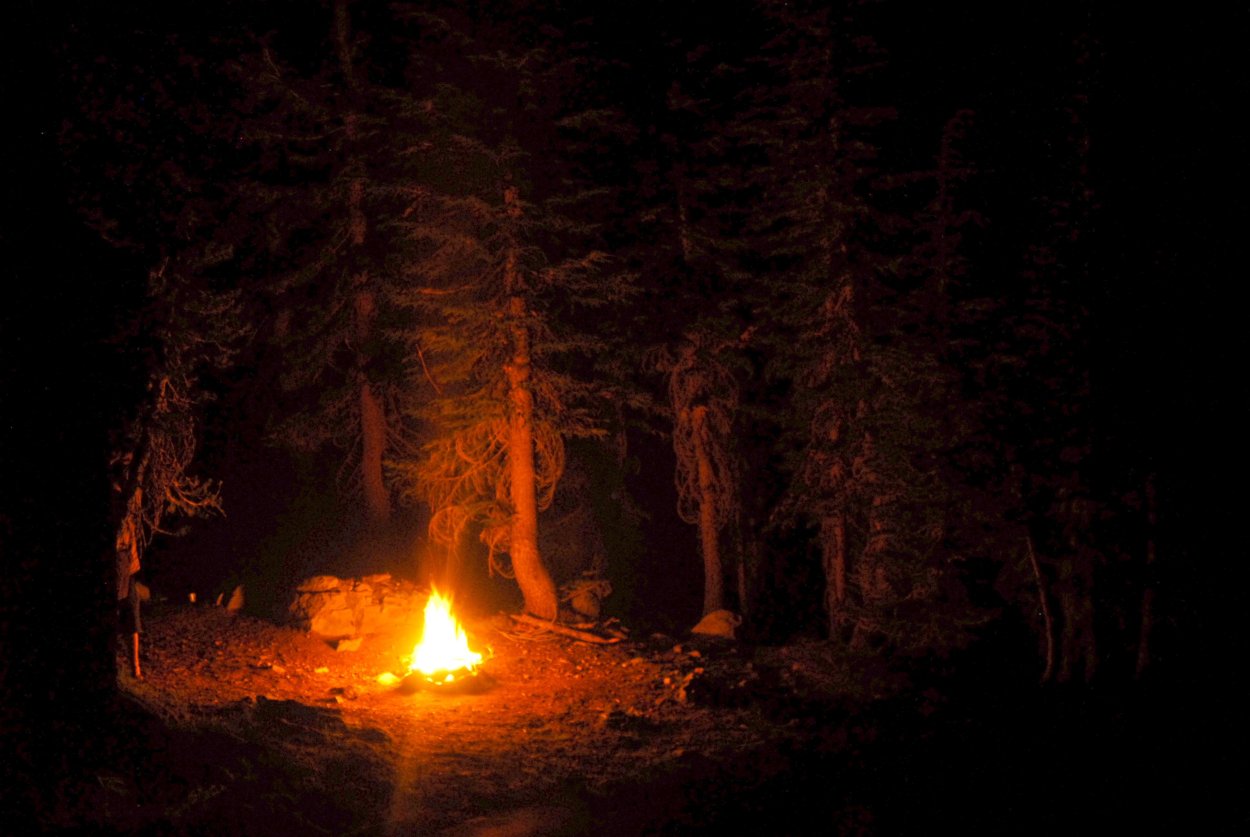 Костер ночью в лесу