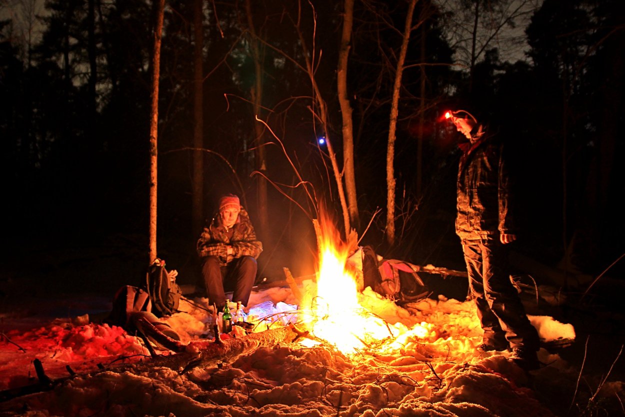 Костёр в лесу ночью