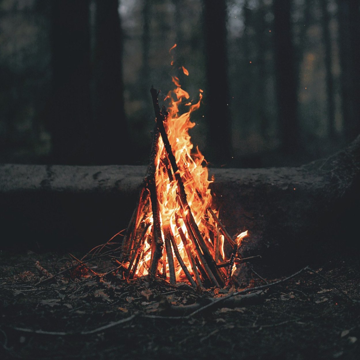 Хочешь согреться кидай в костёр своё прошлое