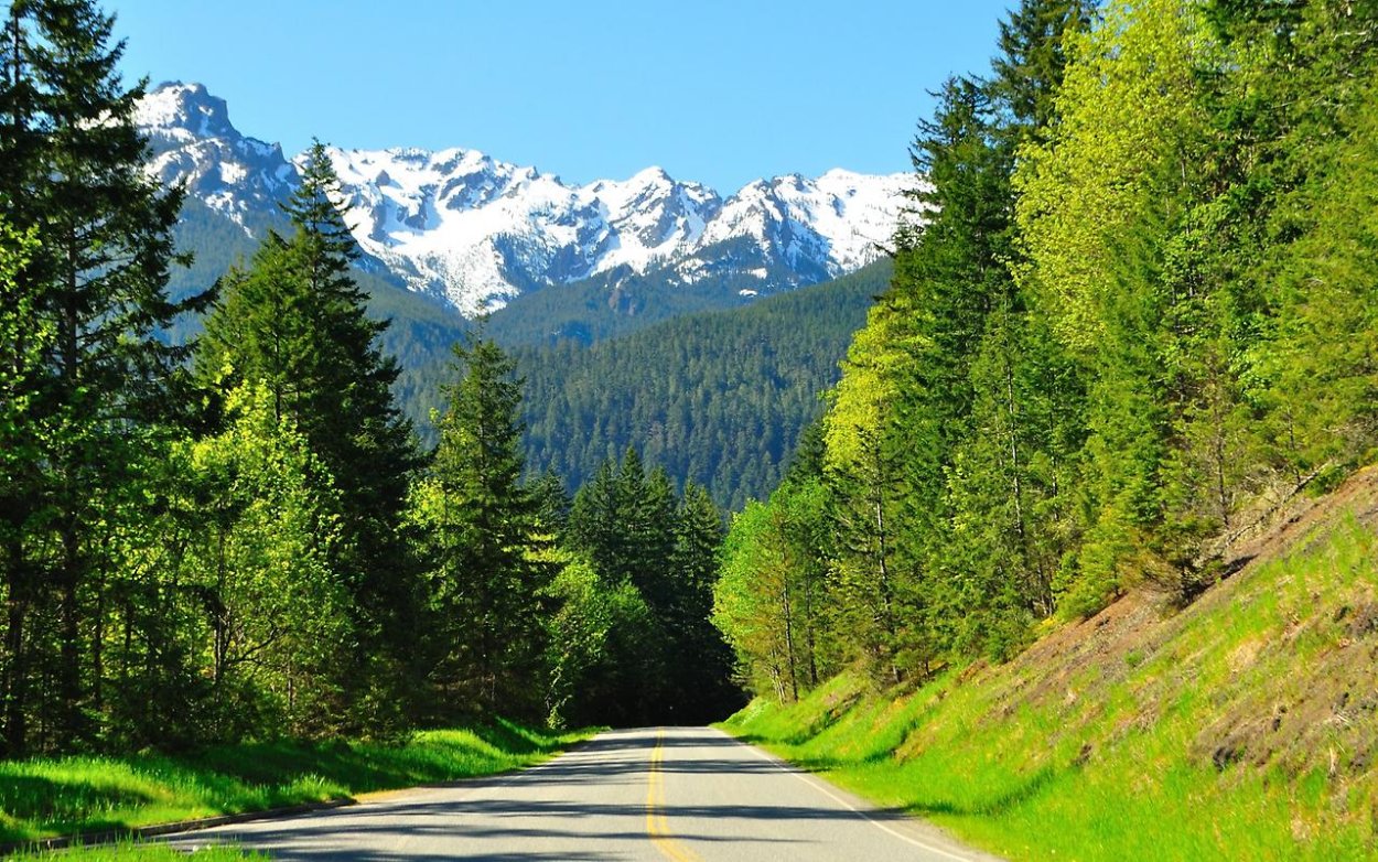 Национальный парк Олимпик штат Вашингтон США